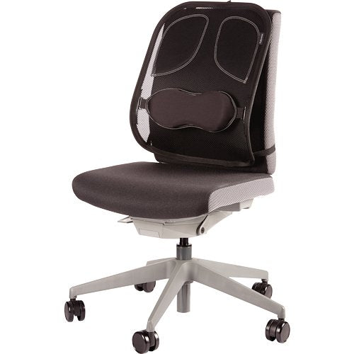 EAN 0043859600960 - Fellowes 8029901 soporte lumbar para respaldos Grafito imagen 2