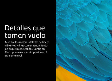 EAN 0095205845969 - Xerox 106R03739 cartucho de tóner 1 pieza(s) Original Magenta imagen 3