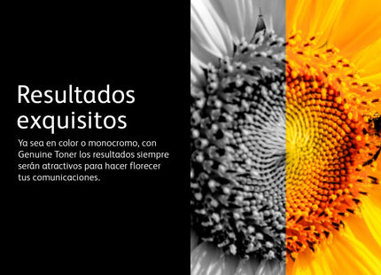 EAN 0095205839067 - Xerox 106R03620 cartucho de tóner 1 pieza(s) Original imagen 7