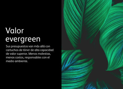 EAN 0095205846058 - Xerox 106R03748 cartucho de tóner 1 pieza(s) Original Cian imagen 6