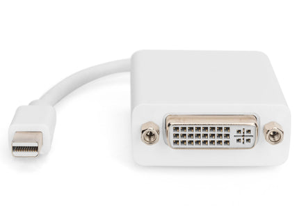 Digitus Adaptador Mini Dp - Dvi (24+5) M/H 0,15m Dp 1.1a Ce We