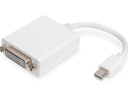 Digitus Adaptador Mini Dp - Dvi (24+5) M/H 0,15m Dp 1.1a Ce We