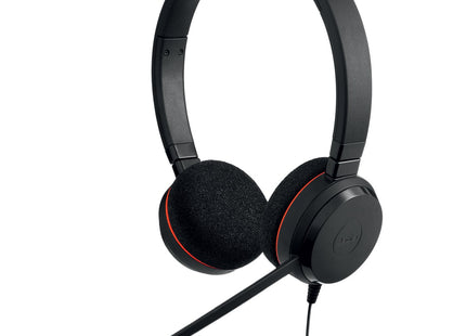 EAN 5706991016970 - Jabra Evolve 20 Auriculares Alámbrico Diadema Oficina/Centro de llamadas USB tipo A Negro imagen 1