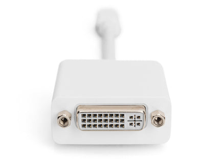 Digitus Adaptador Mini Dp - Dvi (24+5) M/H 0,15m Dp 1.1a Ce We