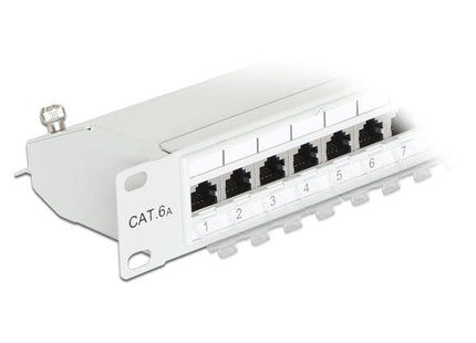 Delock Patchpanel 19"  24 Puertos Cat.6a Gris