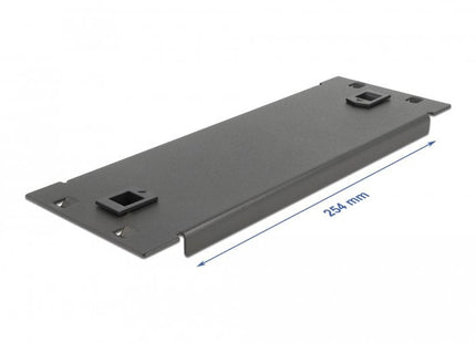 Delock 10 Gabinete De Red Tapa Ciega Sin Herramientas 2 U Negro