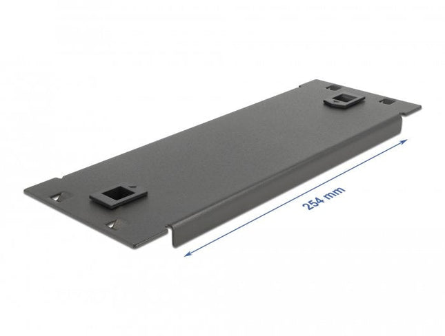 Delock 10 Gabinete De Red Tapa Ciega Sin Herramientas 2 U Negro