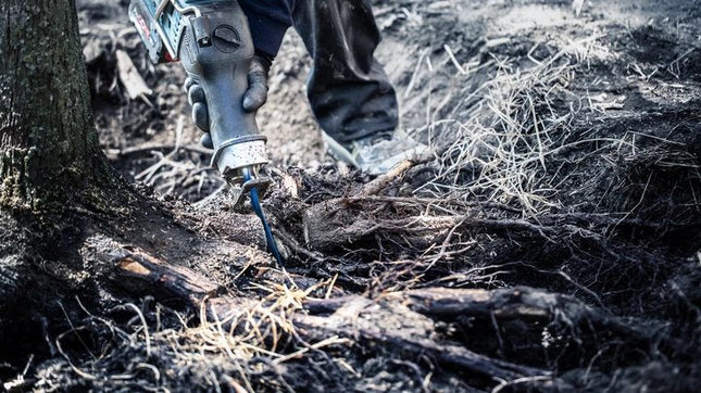 Bosch Hoja De Sierra De Sable Expert 'Tough Wood' S 1242 Khm 2608900406