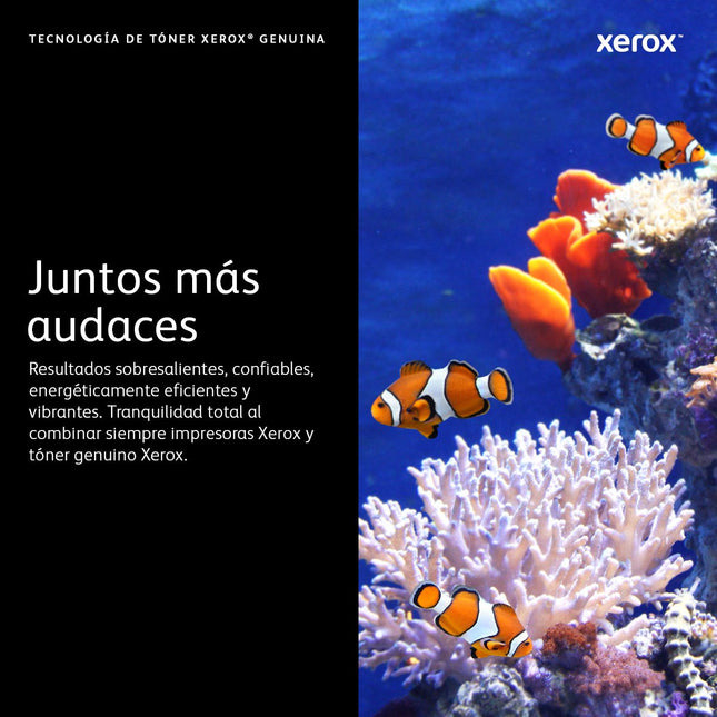 EAN 0095205841886 - Xerox 106R03500 cartucho de tóner 1 pieza(s) Original imagen 11