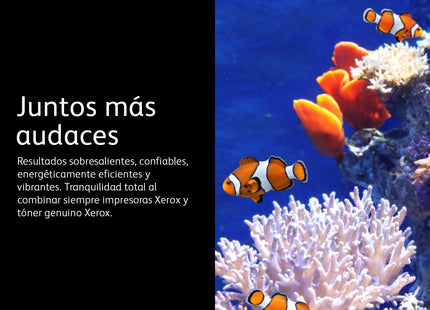 EAN 0095205038163 - Xerox 006R04638 cartucho de tóner 1 pieza(s) Original imagen 11