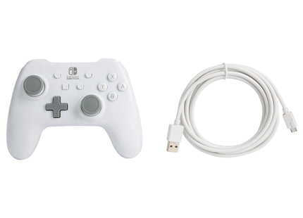 Controller White Matte
