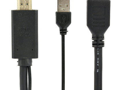 EAN 8716309121484 - Gembird A-HDMIM-DPF-01 adaptador de cable de vídeo 0,1 m HDMI tipo A (Estándar) DisplayPort + USB Type-A  imagen 1