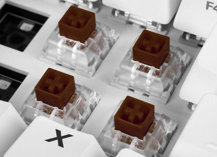 Switch Set Sharkoon Kailh Box Marron 4044951033706