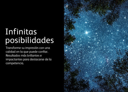 Xerox Toner Negro 4.100 Pag. Workcentre/3210/3220/3210vn