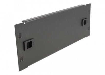 Delock 10 Gabinete De Red Tapa Ciega Sin Herramientas 2 U Negro