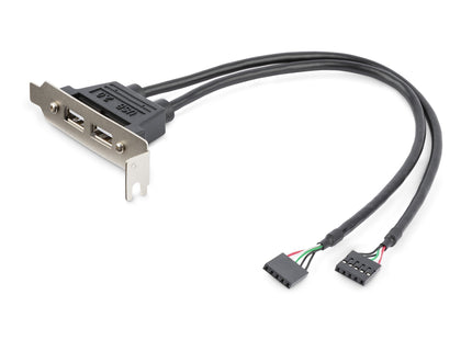 Startech Bracket Perfil Bajo 2puertos Usb 2.0