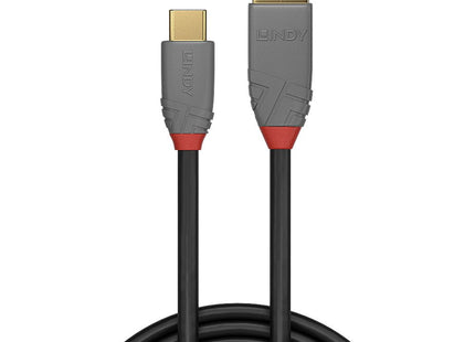 Cable  Lindy 36919 Usb 3 M Usb C Usb A Negro