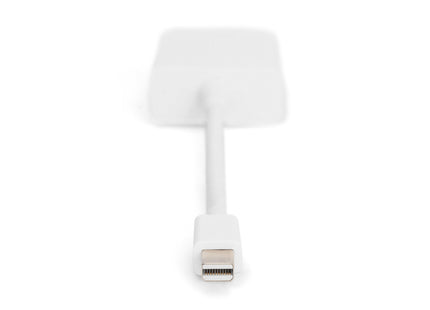 Digitus Adaptador Mini Dp - Dvi (24+5) M/H 0,15m Dp 1.1a Ce We