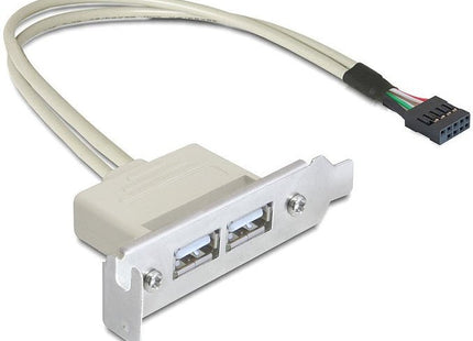 Delock Slot Bracket Usb 2.0 Low Profile 2 Puertos