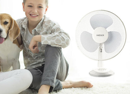 Table Wind Ventilador Mesa 40cm