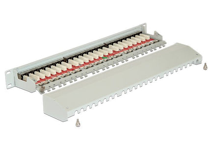 Delock Patchpanel 19"  24 Puertos Cat.6a Gris