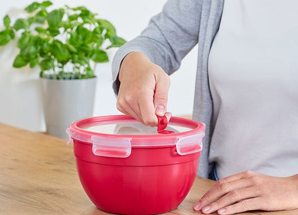 EAN 4009049532264 - EMSA N10605 Alrededor Caja 1,1 L Rojo, Transparente 1 pieza(s) imagen 4