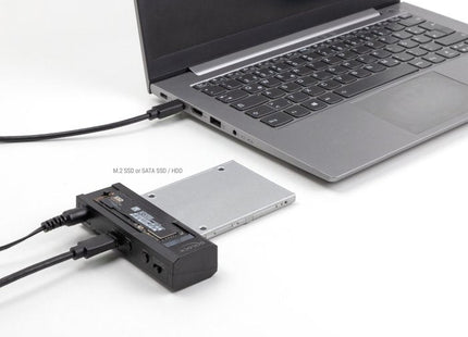 Delock 64253 Convertidor Usb Type-C Para 1 X Ssd M.2 O 1 X Sata Ssd / Hdd