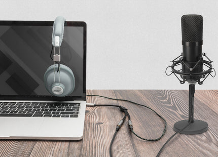 EAN 4016032481317 - Digitus DB-510310-002-S cable de audio 0,2 m 3,5mm 2 x 3.5mm Negro imagen 5