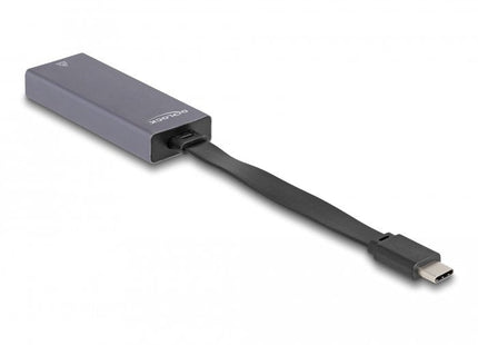 Delock 66248 Adaptador Usb Type-C A Lan Gigabit De 2,5 Pulgadas