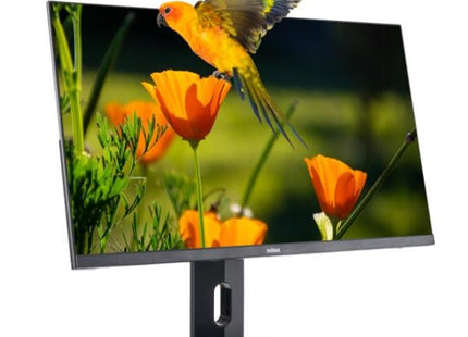 Nilox Monitor Desktop Va Led 24"  Fhd, Hdmi, Dp Y Vga 1920x1080 75hz 16:9
