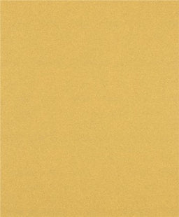 Hoja De Lija  Bosch Professional 2608900960