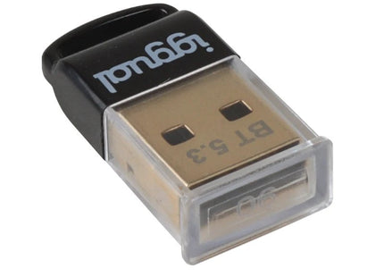 EAN 8435364319383 - iggual IGG319383 tarjeta y adaptador de interfaz Interno Bluetooth imagen 4