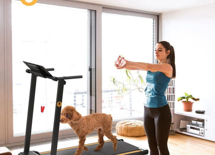 EAN 6975165000421 - Urevo Foldi Mini black cinta de correr 1002 x 410 mm 10 kmh imagen 7