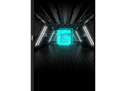 Monitor Msi G255pf E2  (24.5") 1920 X 1080 Pixeles Full Hd Lcd Negro