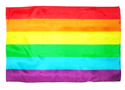 Pride - Bandera Mediana Lgbt
