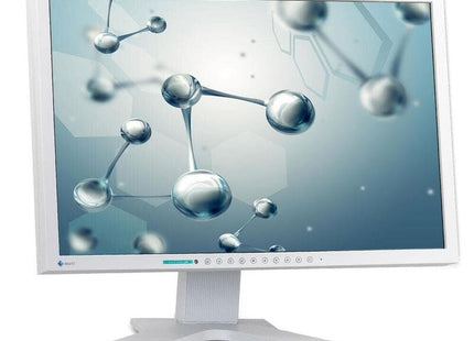 Monitor Reacondicionado Eizo S2202w 22" Dvi-D Y Vga