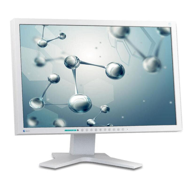 Monitor Reacondicionado Eizo S2202w 22" Dvi-D Y Vga