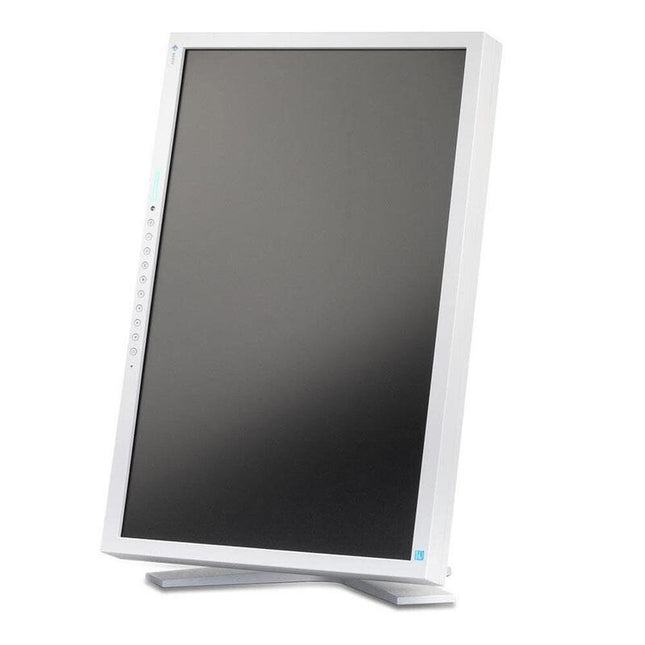 Monitor Reacondicionado Eizo S2202w 22" Dvi-D Y Vga