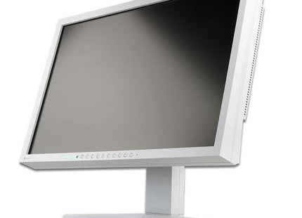 Monitor Reacondicionado Eizo S2202w 22" Dvi-D Y Vga