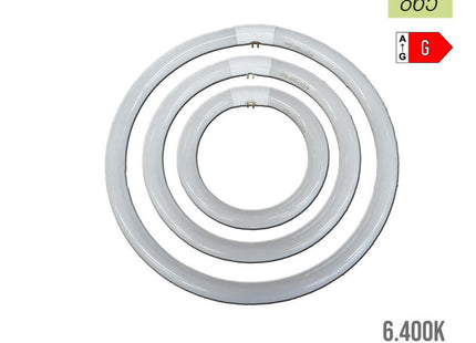 Pack De 3 Unidades - Tubo Fluorescente Circular 22w Ø21cm Trifosforo 865k Luz Fria Philips